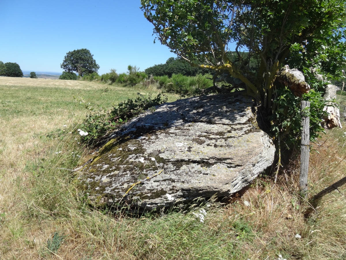 Dolmen de Castelnau-Pégayrols