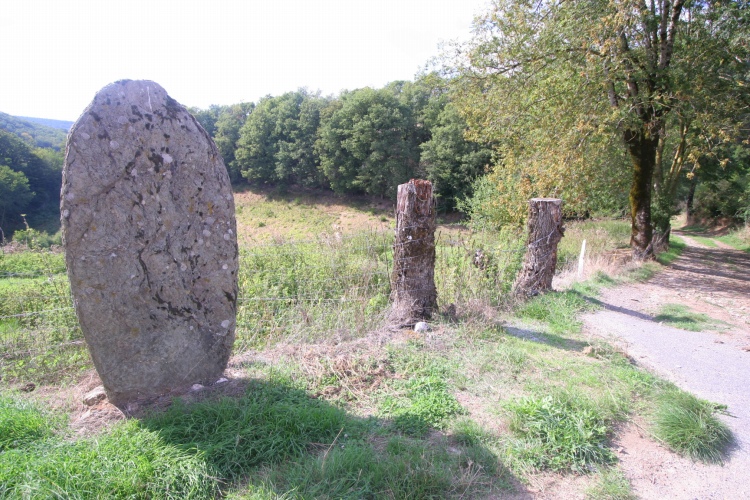 Ouradous 2 statue menhir