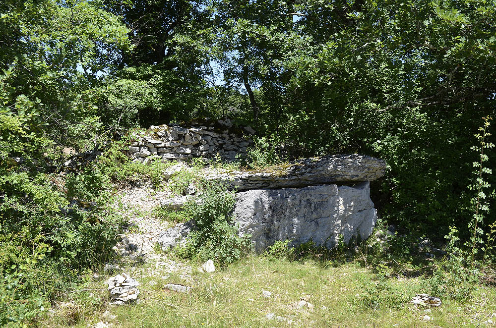 Click for the gallery page to add comments and vote (PID:183664) Mas Mondieu Dolmen