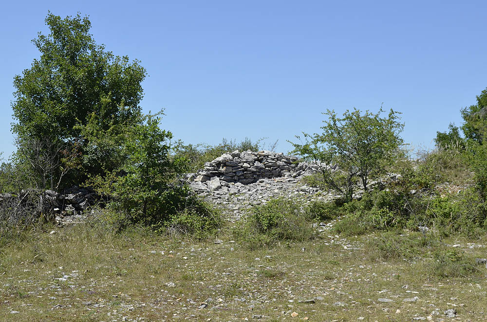 Click for the gallery page to add comments and vote (PID:183667) Dolmen du Pech Laglayre 0