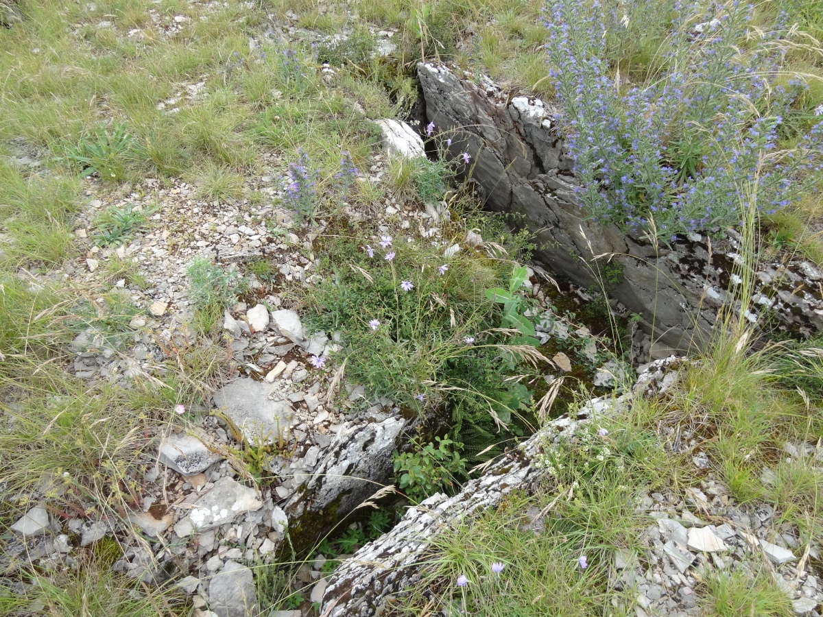 Dolmen des Vézinies 3