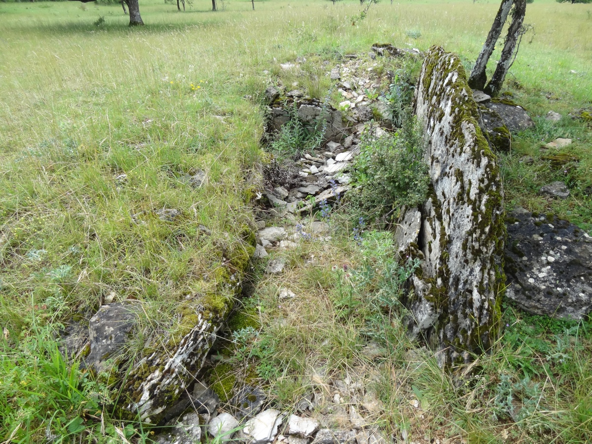 Dolmen de la Vayssiere 