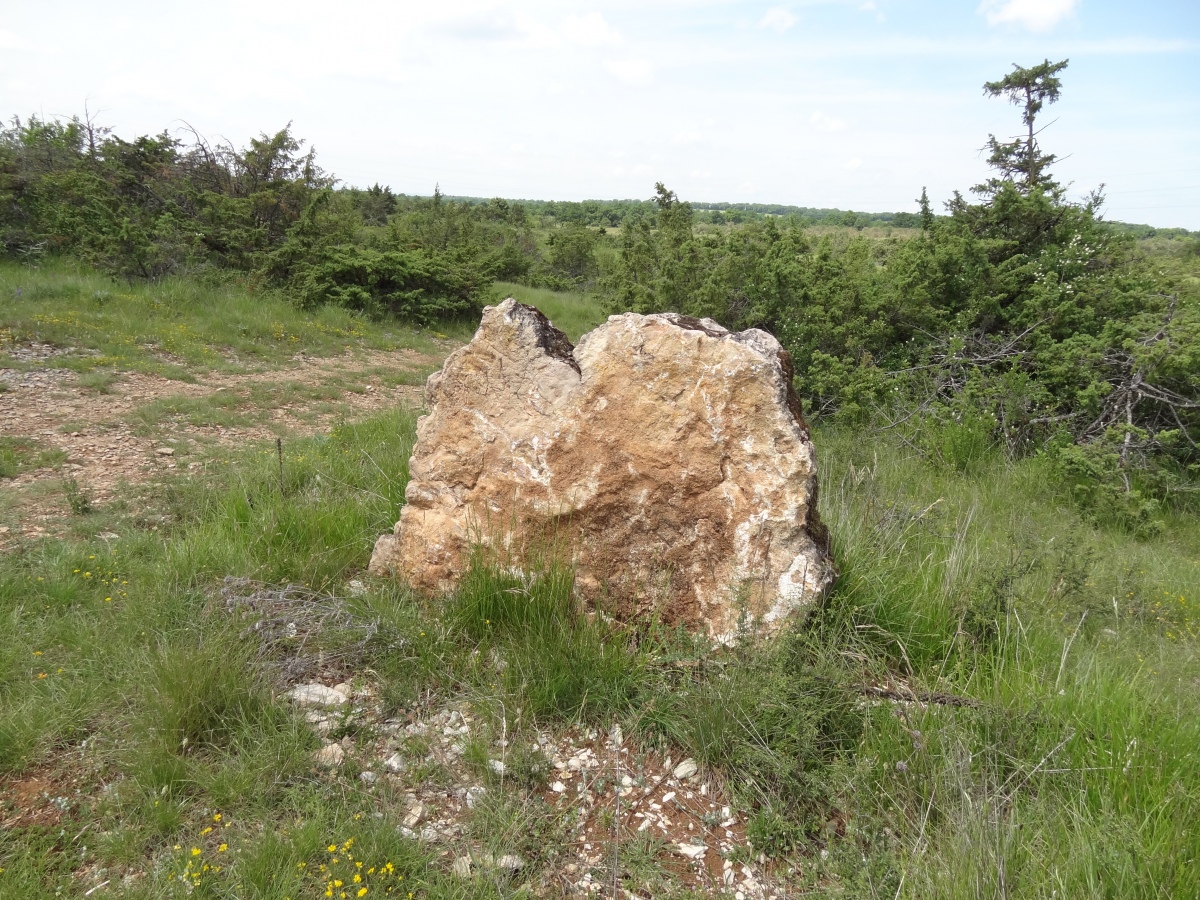 Dolmen de la Bergerie 1