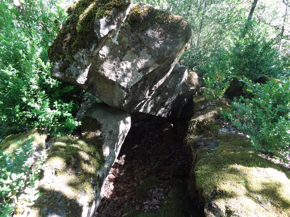 Dolmen des Bouscaillous 3
