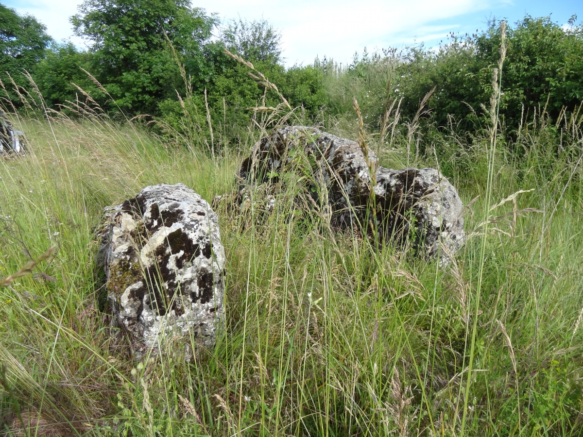 Dolmen des Cinq Pierres
