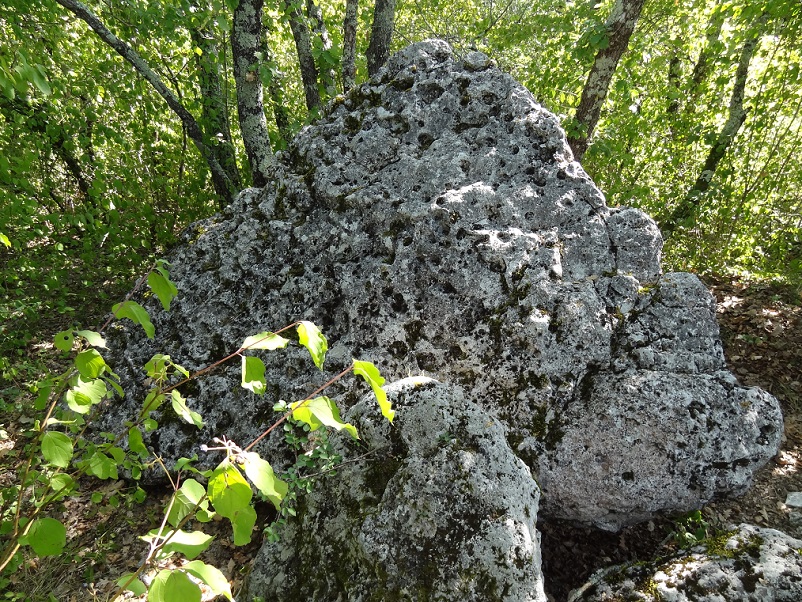 Dolmen dit la Peyra Levada