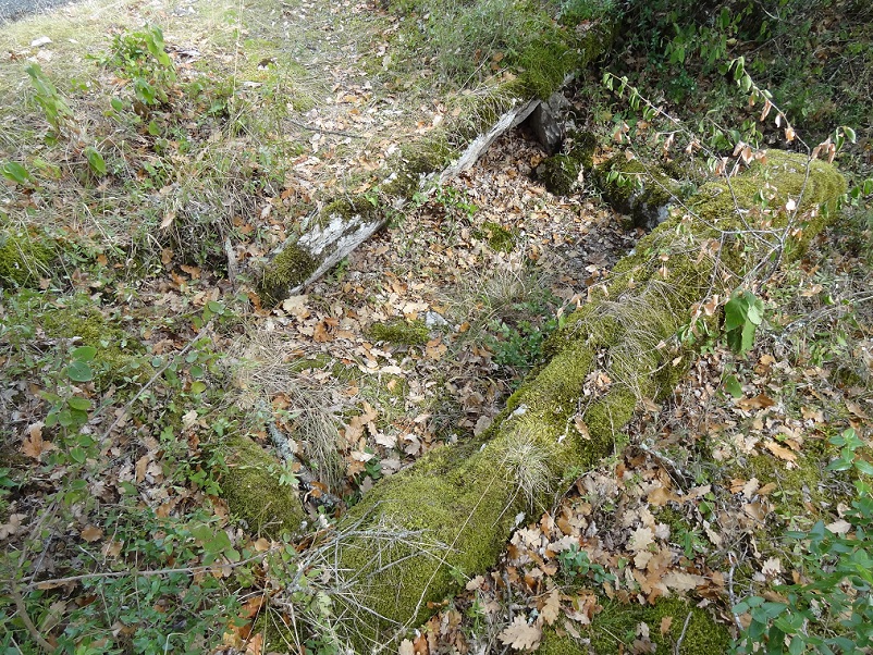 Click for the gallery page to add comments and vote (PID:188205) Dolmen de Clauset 1