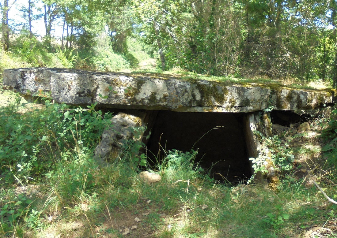 Click for the gallery page to add comments and vote (PID:204029) Dolmen de Concoules 1