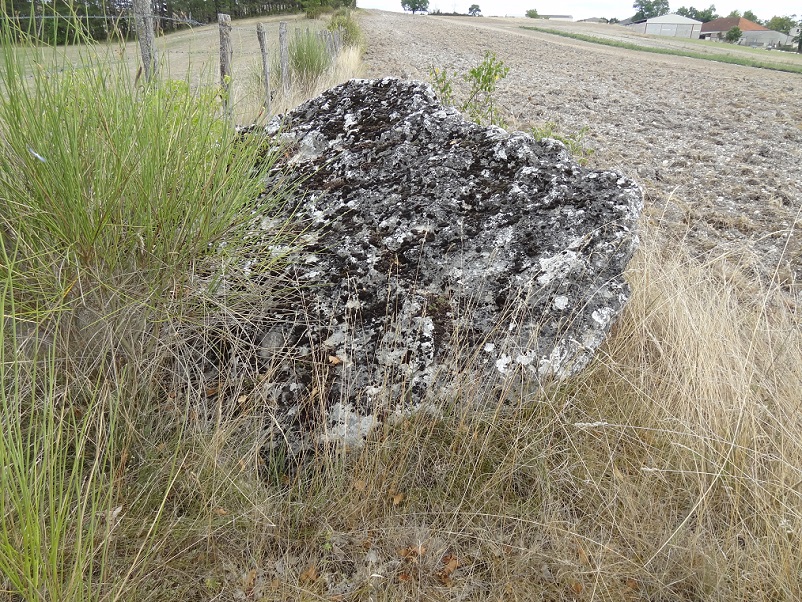 Dolmen de Cuzoul 2 (Lalbenque)