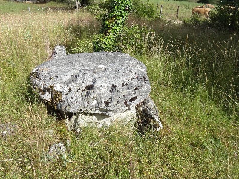 Click for the gallery page to add comments and vote (PID:176768) Dolmen de Pierre Basse