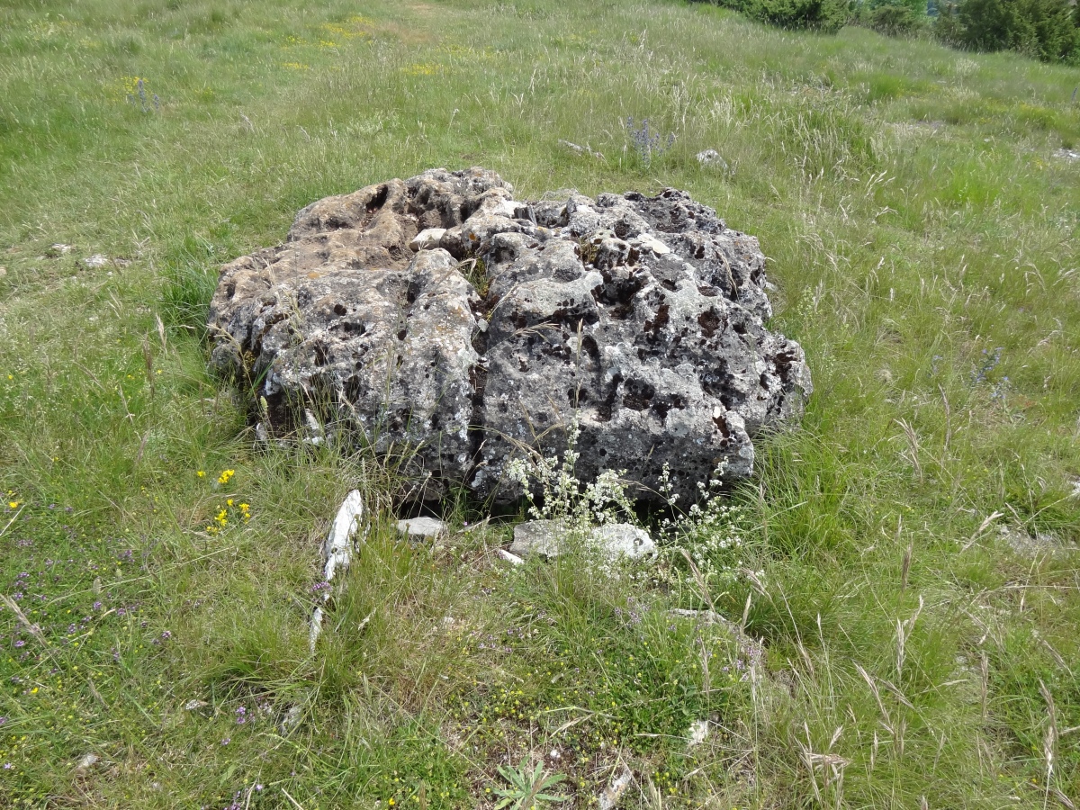 Dolmen de Gages-le-Haut