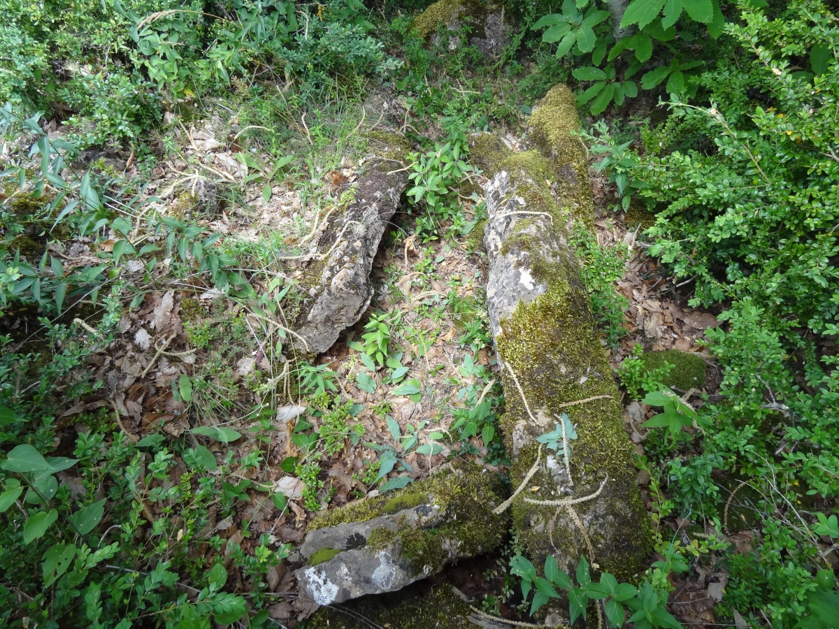 Dolmen de Calcines