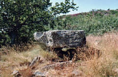 Dolmen de Lagarde