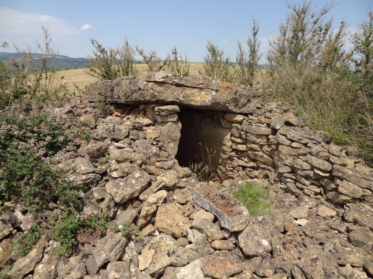Dolmen de Navas 4