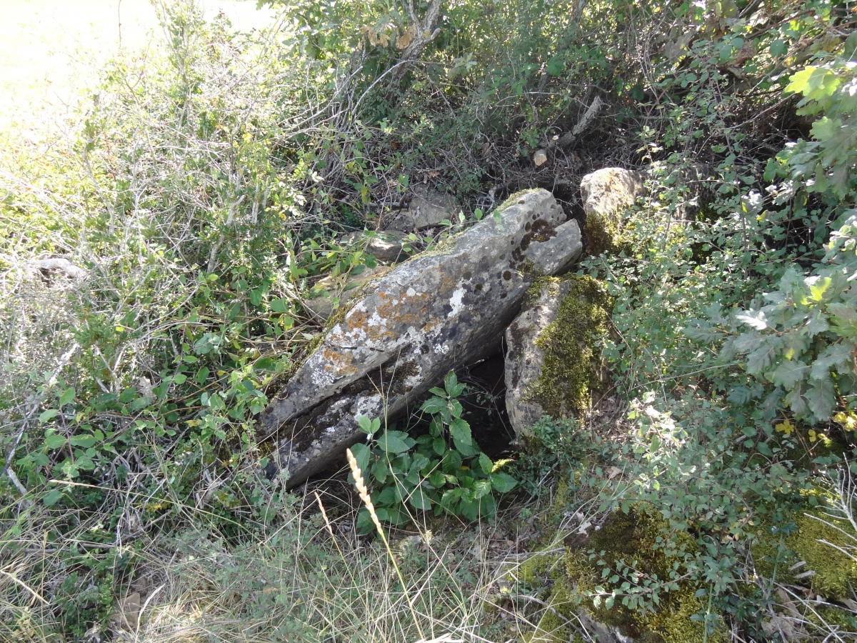 Click for the gallery page to add comments and vote (PID:235534) Dolmen de Mongisty 2
