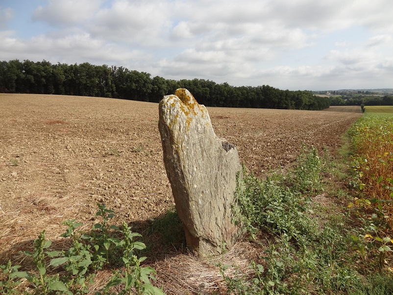 Menhir des Rivals