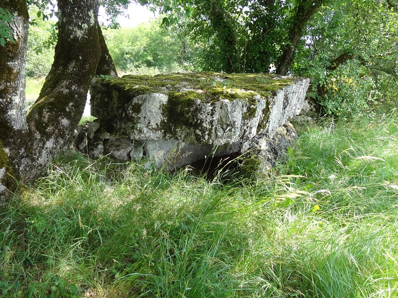 Click for the gallery page to add comments and vote (PID:175481) Dolmen de l'Homme Mort (Montsales)
