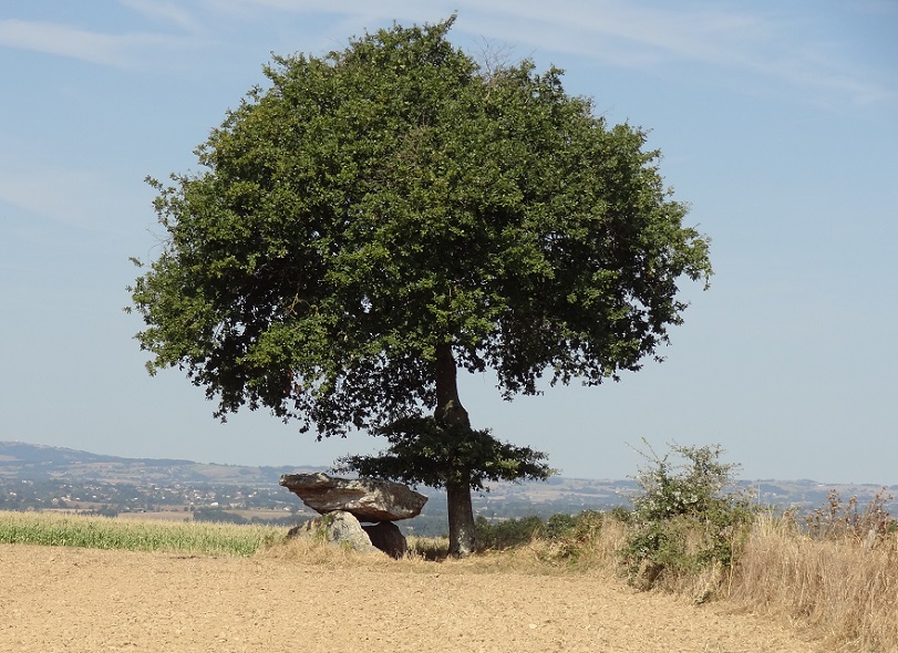 Dolmen du Gouty