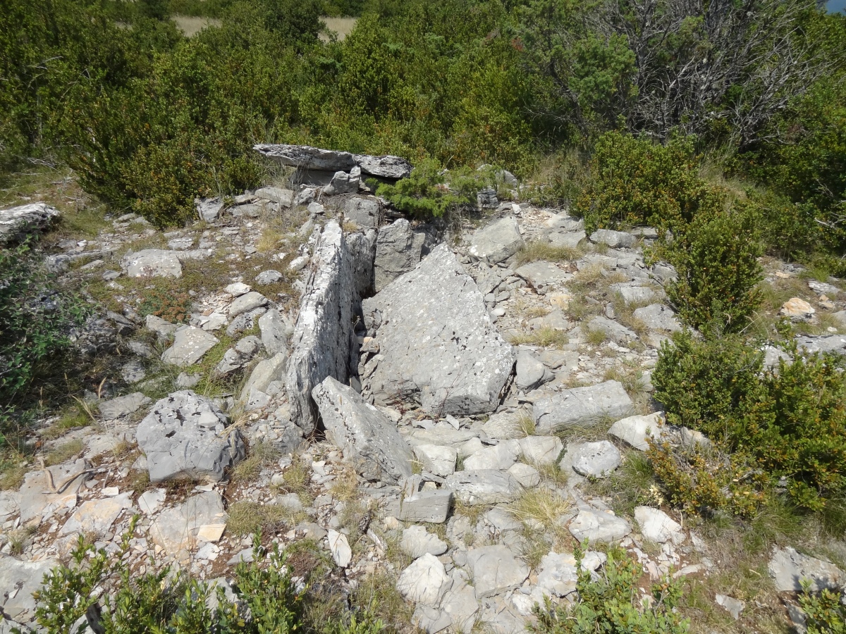 Dolmen de Saint-Martin-du-Larzac 2