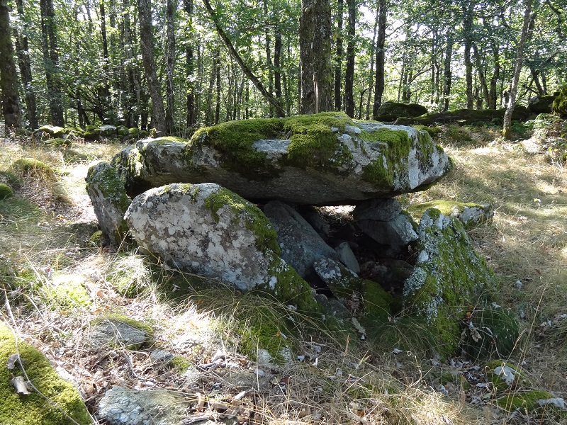 Click for the gallery page to add comments and vote (PID:189133) Dolmen de Castelsec
