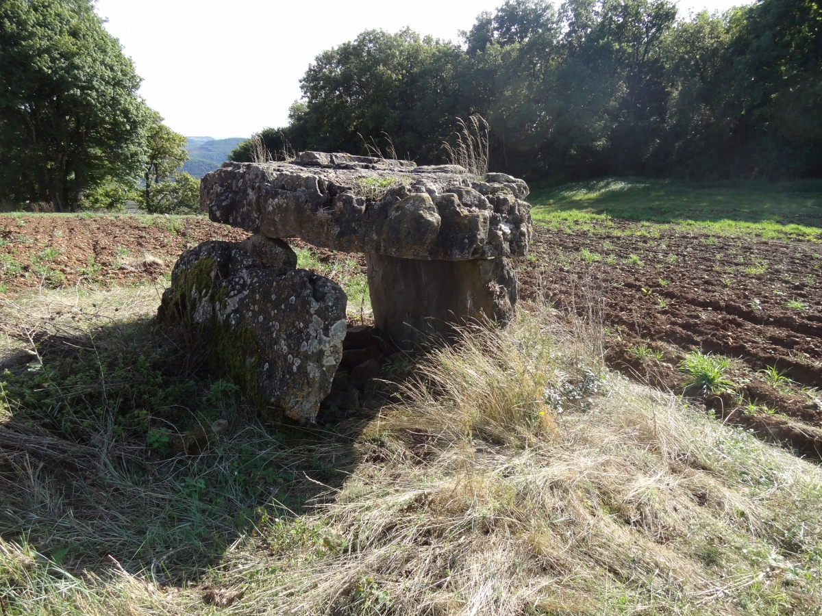 Click for the gallery page to add comments and vote (PID:236339) Dolmen de Pinsac
