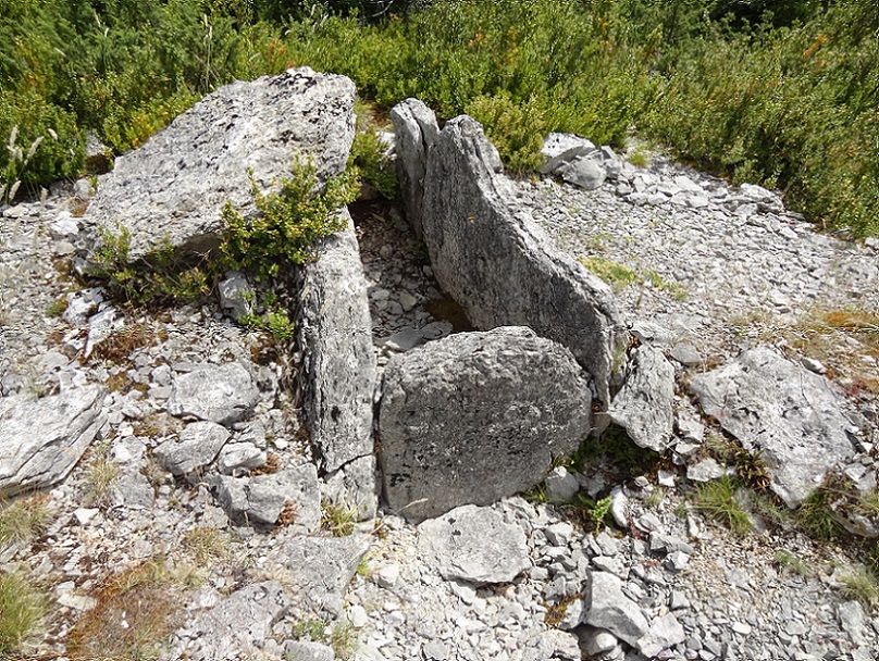 Click for the gallery page to add comments and vote (PID:176819) Dolmen du Mas de Jantou 1