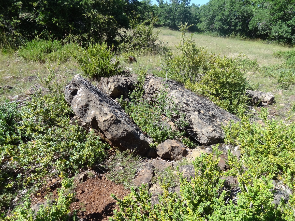 Dolmen des Bouscaillous 1
