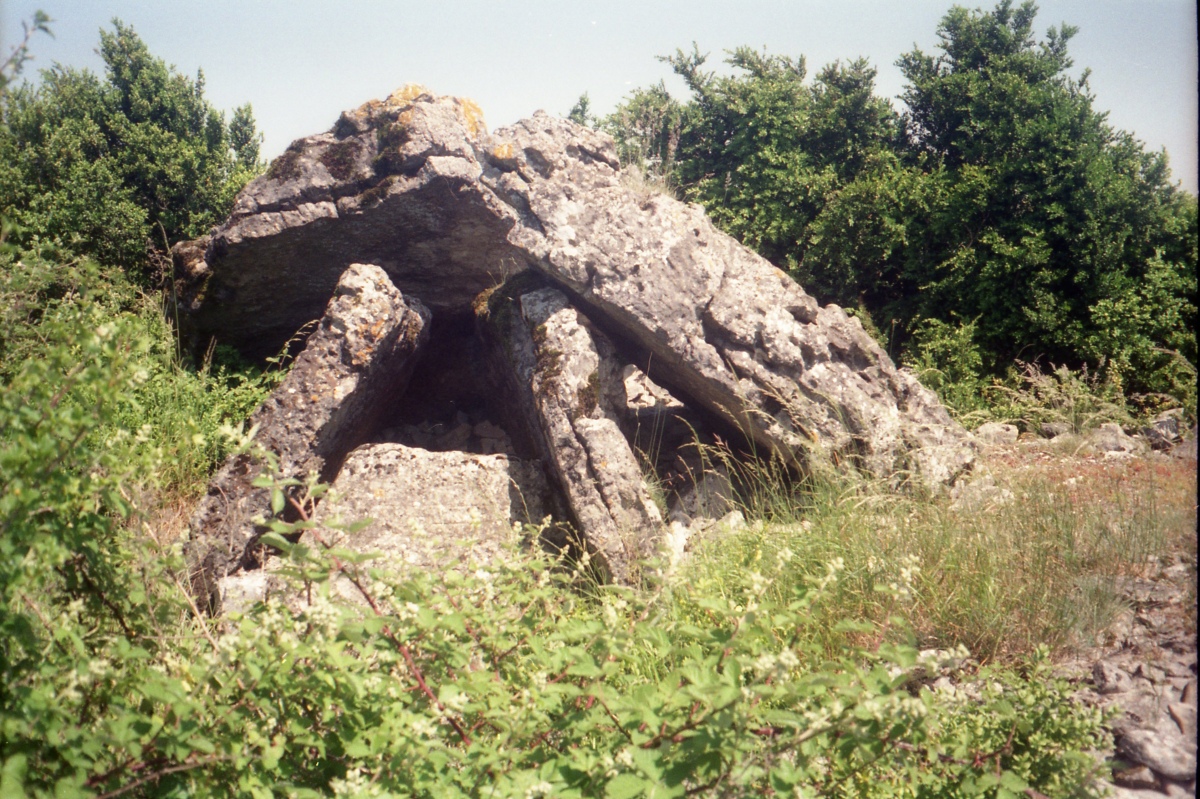 Dolmen de Mascourbe 1