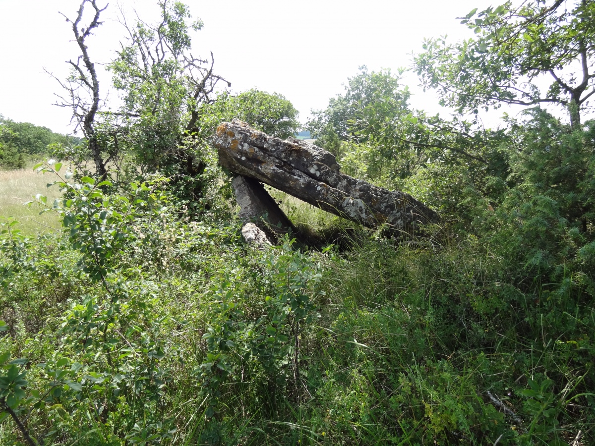 Dolmen de Combuéjouls