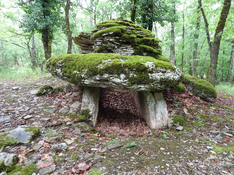 Click for the gallery page to add comments and vote (PID:176119) Dolmen du Bois des Escures 1