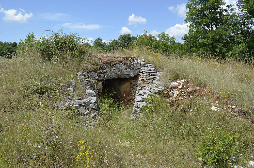 Click for the gallery page to add comments and vote (PID:183740) Dolmen des Aguals