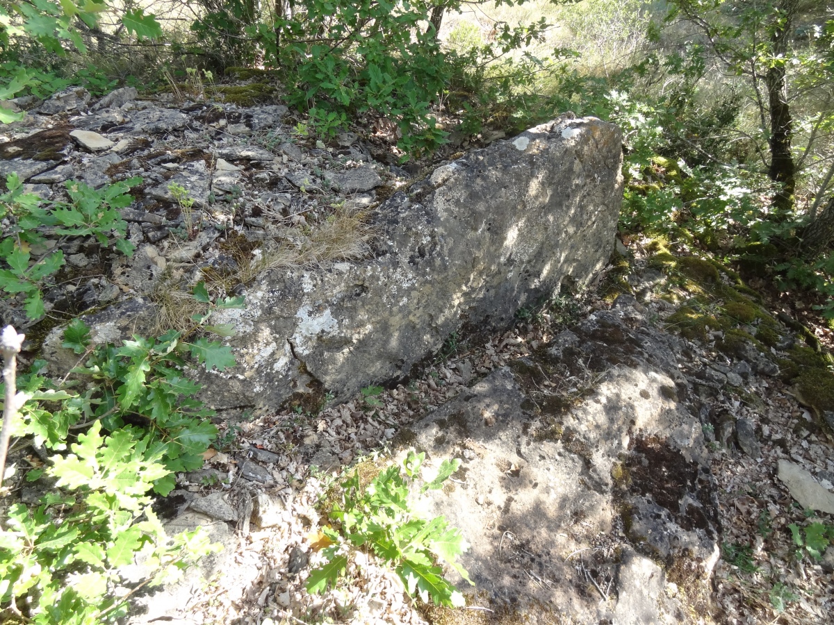 Click for the gallery page to add comments and vote (PID:235489) Dolmen de Mongisty 3