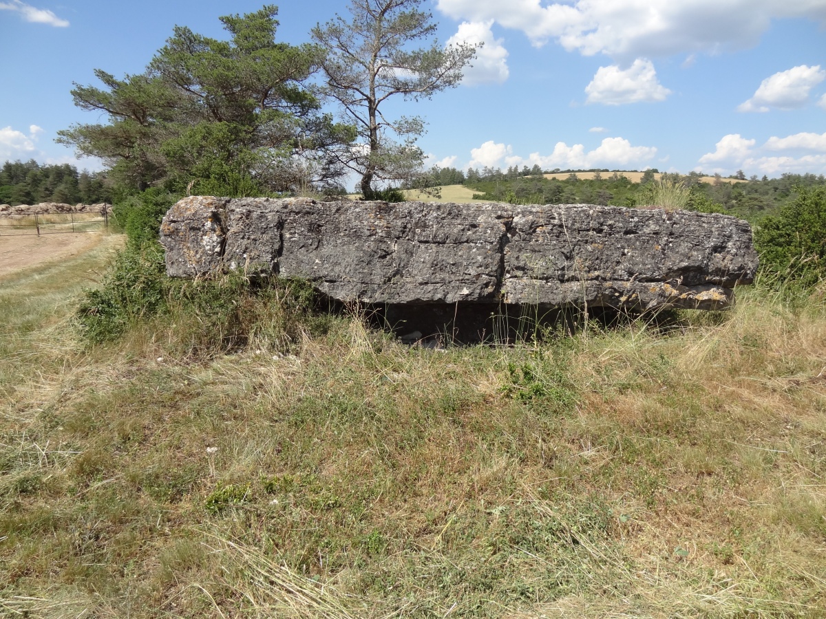 Dolmen de Peyrelevade (Novis)