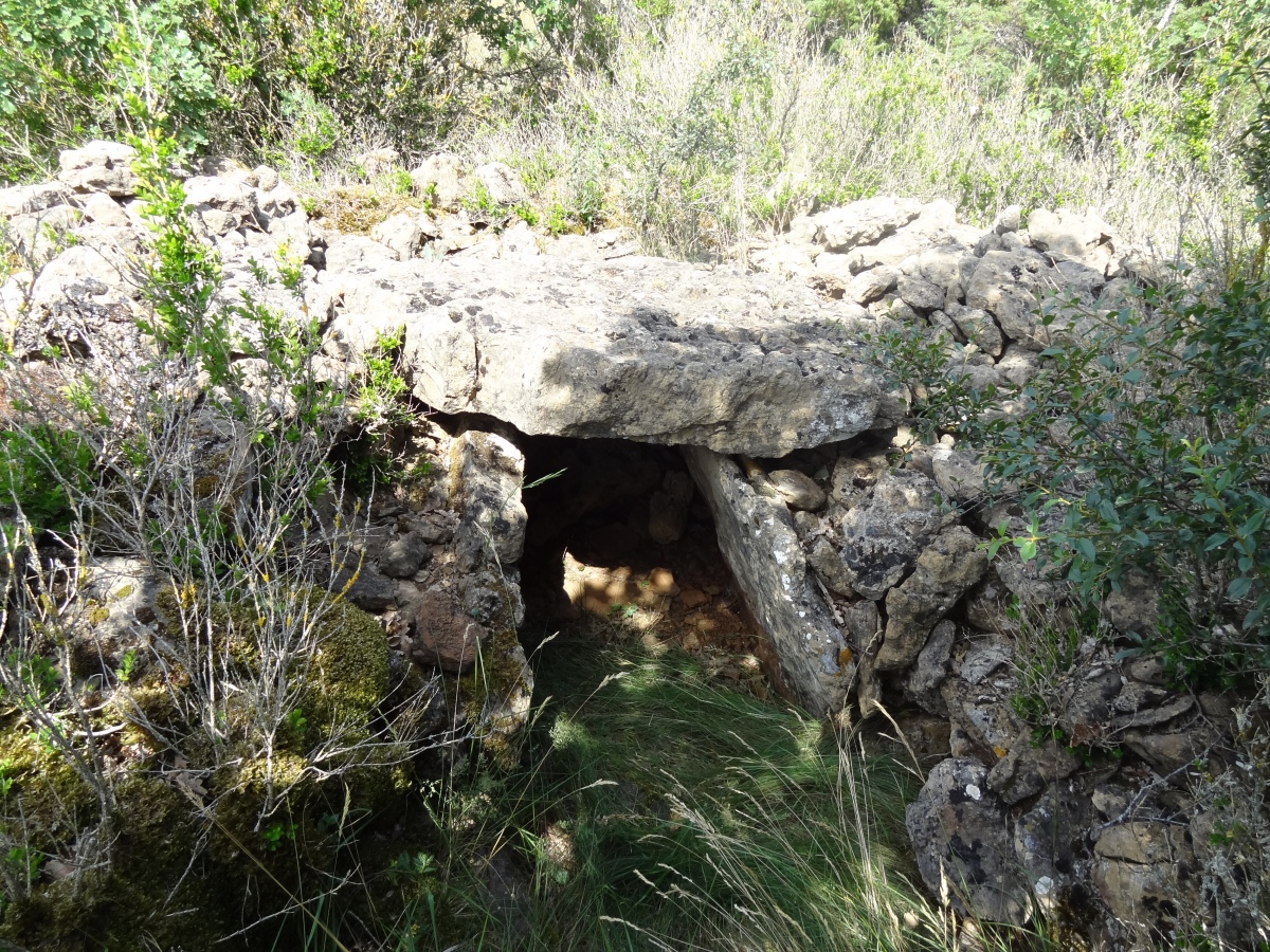 Dolmen de Navas 3