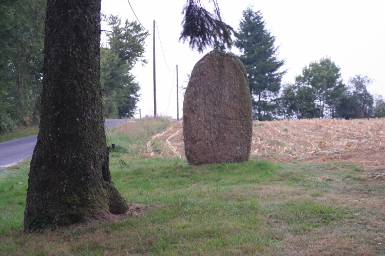 Click for the gallery page to add comments and vote (PID:68425) Sagne Marty 1 statue menhir