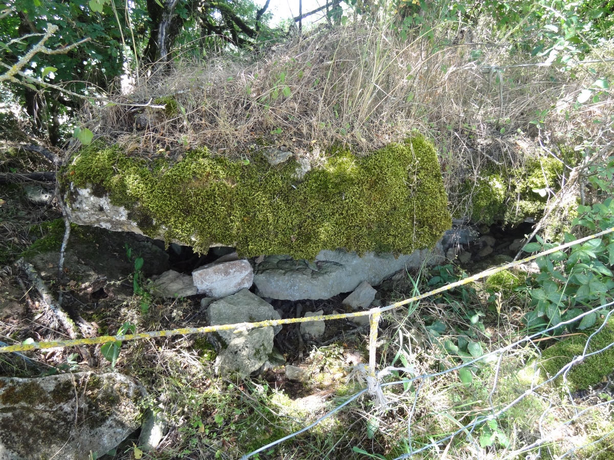 Dolmen des Salles