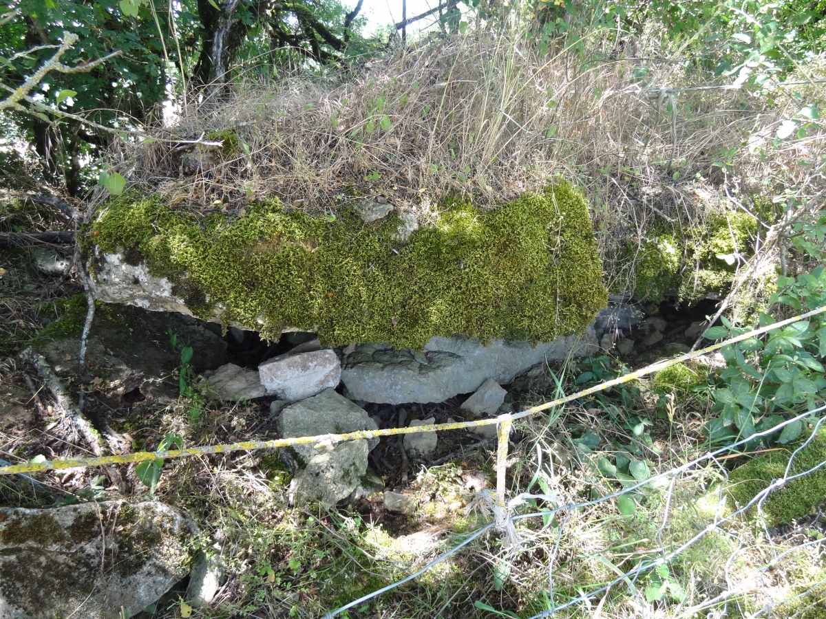 The overgrown capstone behind the fence, July 4, 2019