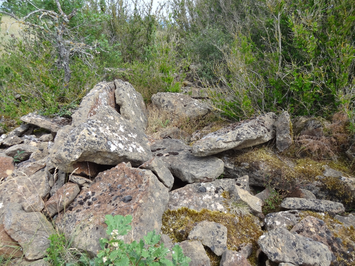 Dolmen de Navas 1