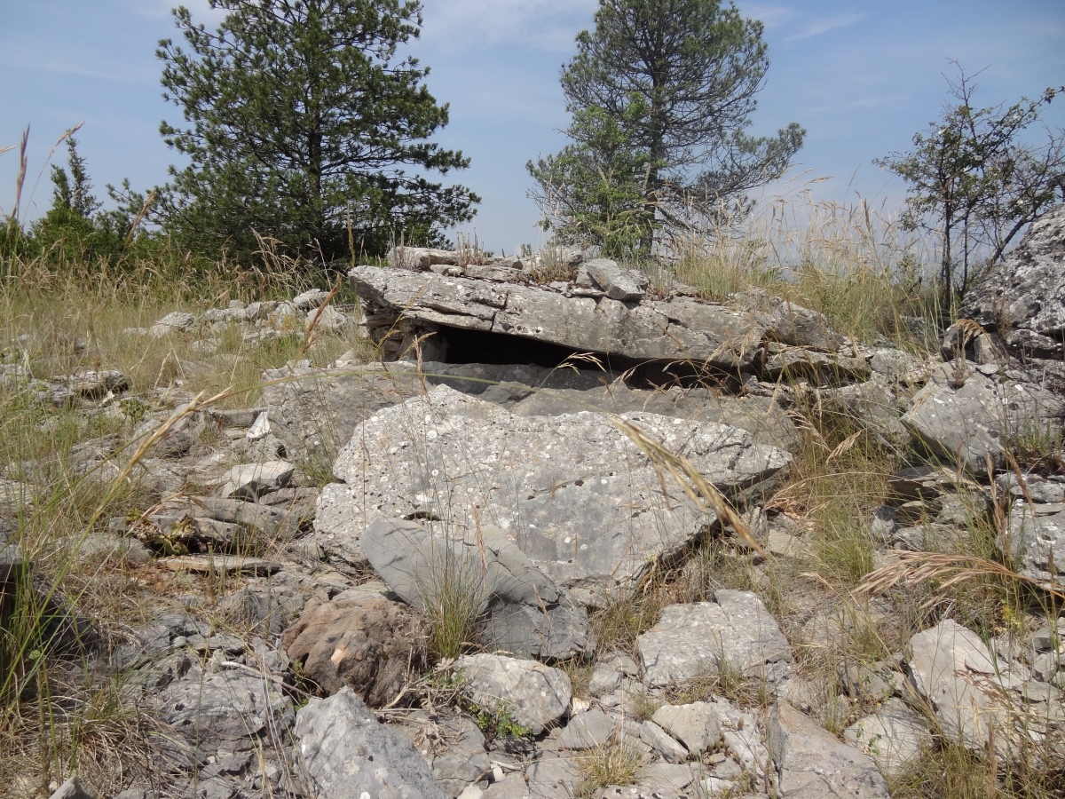 Dolmen de Saint-Martin-du-Larzac 3
