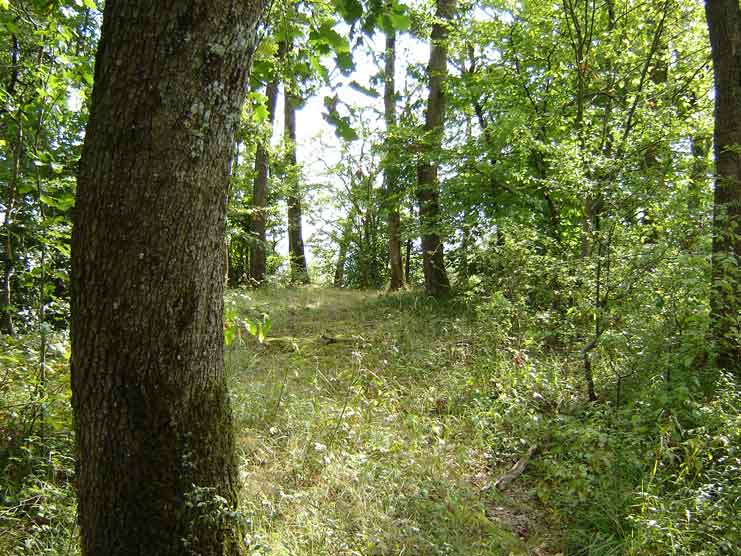 St-Go   Tumulus