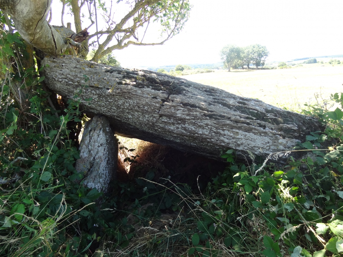 Dolmen de Castelnau-Pégayrols