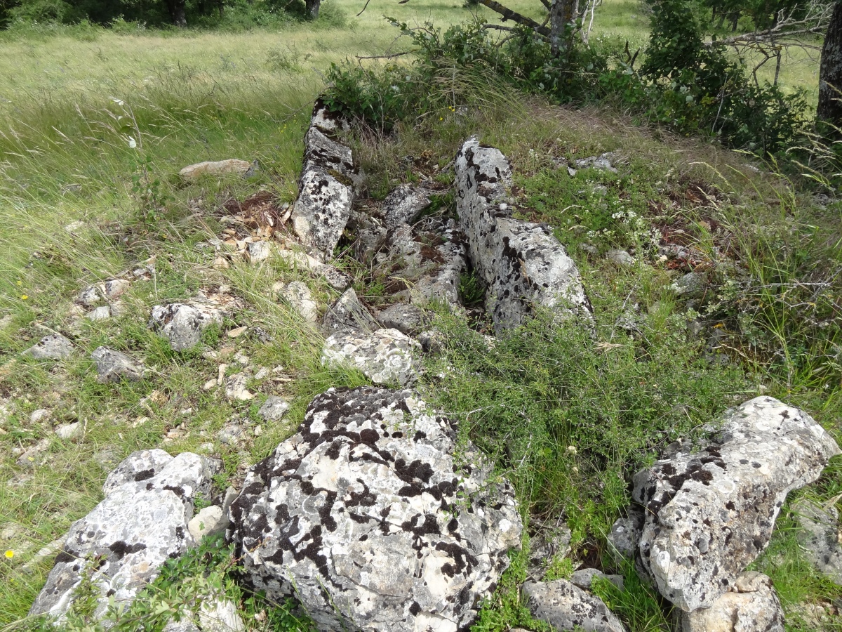 Dolmen de Bourines 2