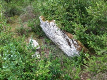 Dolmen de Combecrose