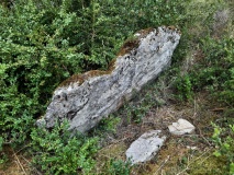 Dolmen de Combecrose