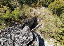Dolmen du Puech del Pous 2