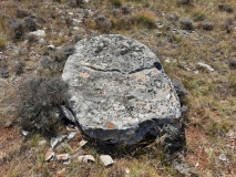 Menhir du Puech del Pous