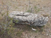 Menhir du Luc