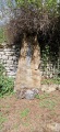 Menhir de St. Xist - PID:296516