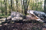 Bois del Rey Dolmen Three - PID:3684