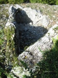 Dolmen de Trégantou